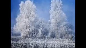 радмила караклаич снег идет