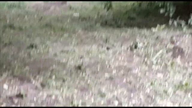 ВОРЧЛИВАЯ ТЁЩА смотреть онлайн