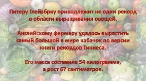 Урожайные рекорды