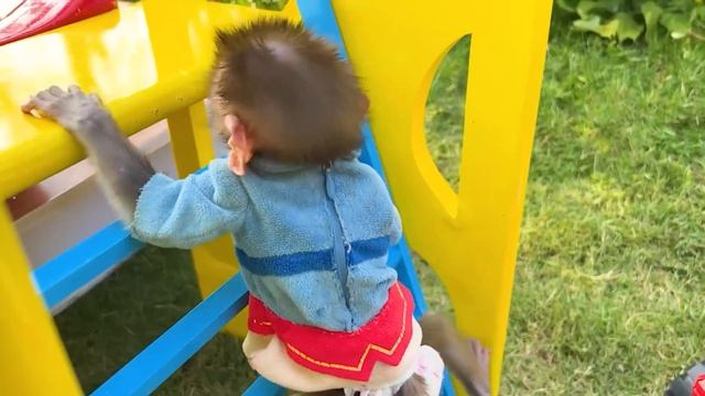 Monkey Baby Bon Bon plays toy cars with puppy and open surprise eggs смотреть онлайн