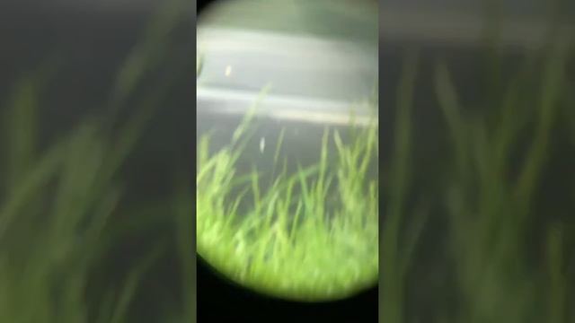 6 июня 2022 г. смотреть онлайн