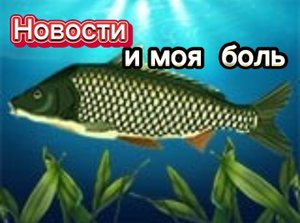 Новости и моя боль.
