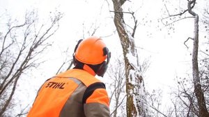 Видеообзор пилы STIHL MS 271