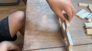 DIY wooden toy set | Smart domino Game