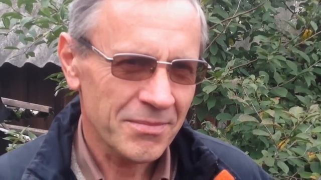 Холмогорские гуси в Грайворонском районе. Часть 2