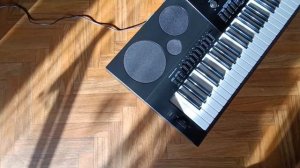Casio WK-7600