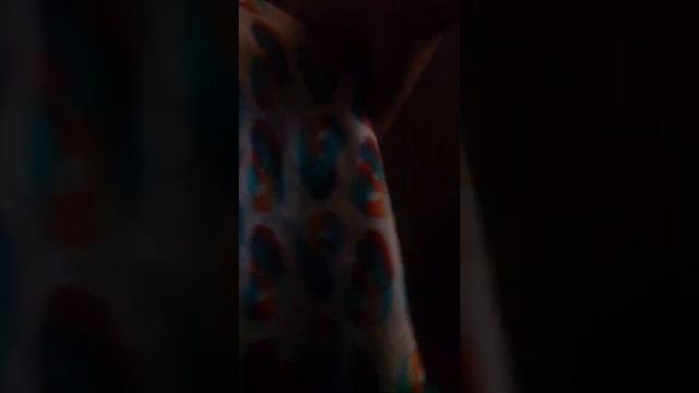 как сделать ушки на хоббихорса 3ч.... смотреть онлайн