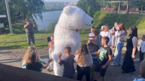 Мишка и очень-очень много детишек??