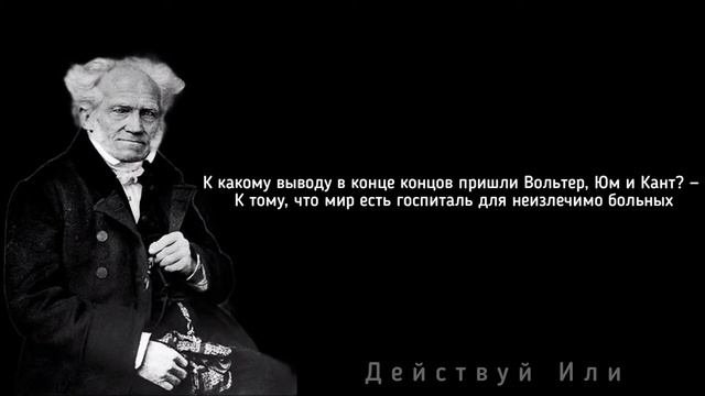 Философия Шопенгауэра в цитатах