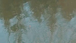 Херабуна в японском стиле. Ловля в толще воды
