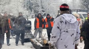 Охота на Волков в Шаранге