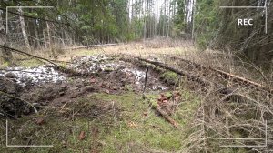 Много монет на фундаменте. Шурф в лесу 1 серия