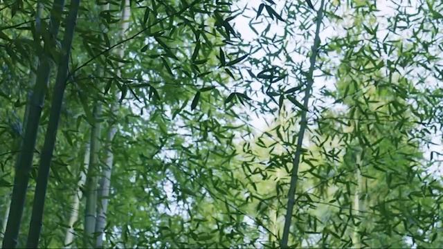 Пока ты спал. Страшные. Мистические. Творческие рассказы. смотреть онлайн