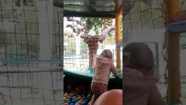 Играемся в детском лабиринте с осликом и катаемся с горки Play children's maze