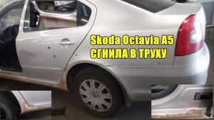 Октавия сгнила в труху. Иномарки не гниют...