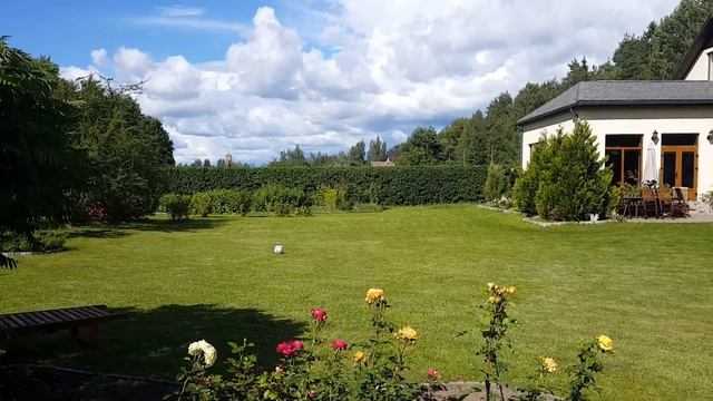 Dzīvžoga apgriešana Video "Pirms un pēc" tālr.: 28297777 смотреть онлайн