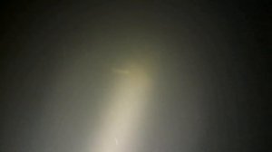 Сравнение подводных фонарей на суше в воде и на живых Налимах внимание присутствует восторженный ма