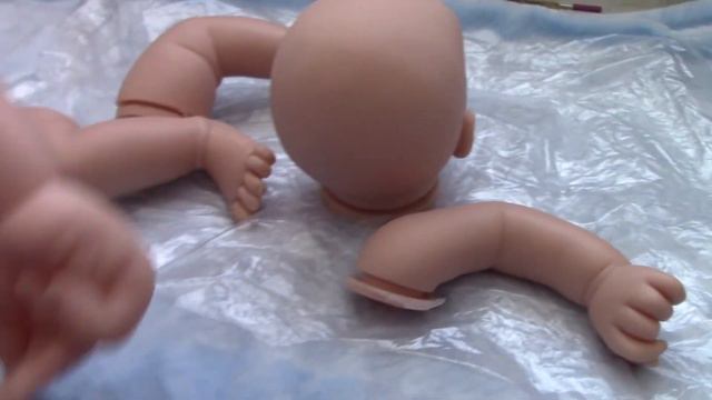 My New Sandy Faber Kit! смотреть онлайн