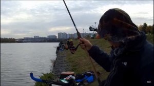 РУЧКА ПОДСАЧЕКА Аргентум FISHING 2,8 МЕТРА