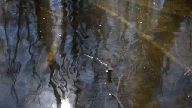 Апрельский лес смотреть онлайн