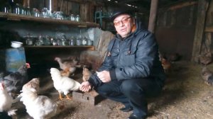 ОТЗЫВЫ О КОМПАНИИ МИР КОРМОВ г  Москва