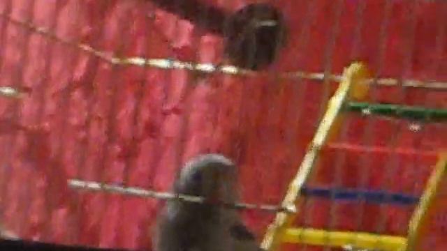 Жорик Беги! смотреть онлайн