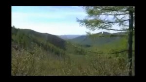 Анатолий Полотно - На Севере