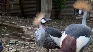 Ростовский ЗООПАРК.