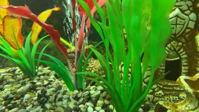 Сказки народов Востока: Арабские сказки: Ткач-звездочёт/05.07.22 21:20 смотреть онлайн