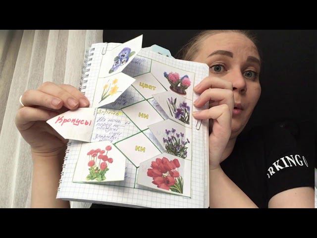 Саликова Кристина, интерактивные тетради, Мастерская интерактивных тетрадей, Отзыв участника смотреть онлайн