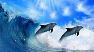 Океан, дельфины и шикарная музыка....  Слушаем и наслаждаемся.