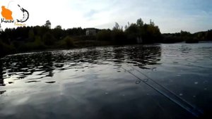 Рыбалка с Live Target.mp4