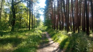 Прогулка на велосипеде до любимой речки Болвы!