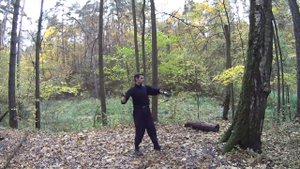 Метательные иглы ниндзя