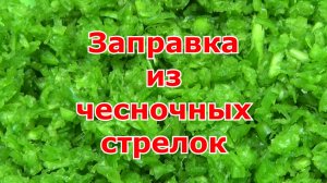 Заправка из чесночных стрелок на зиму. Рецепт заготовки из чесночных стрелок, которая не пропадет.