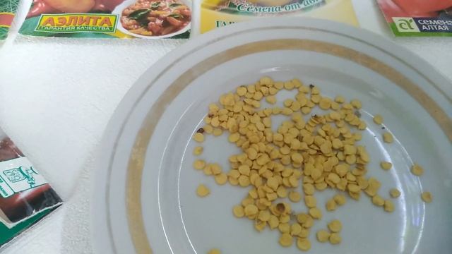 МОЖНО ли сажать из семян магазинного ПЕРЦА? НУЖНО!