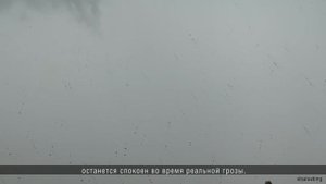 Что делать, если собака боится грозы?