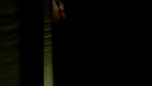 Кот  и скотч ржачная тема