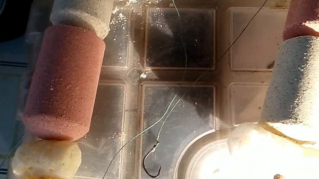 Неуловимый толстолоб! смотреть онлайн