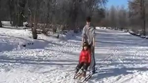 Финские сани Esla T7 с собачками