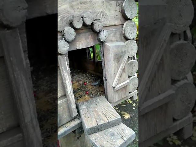 13 октября 2022 г. смотреть онлайн