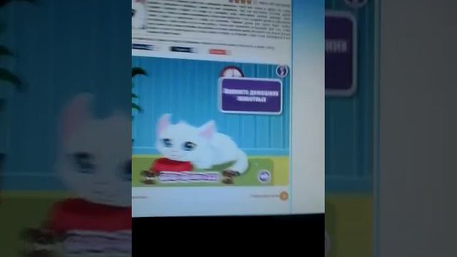 Игра по уходу за кошкой смотреть онлайн