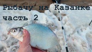 Ловлю леща на Казанке