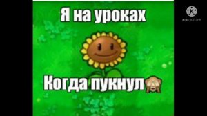 Мемы ПвЗ