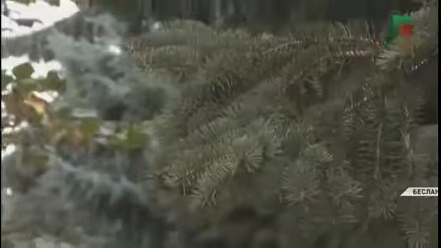 Чеченцы в Осетии смотреть онлайн