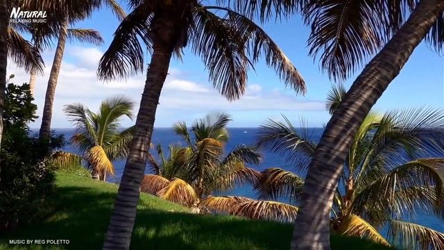 Relaxing Music with Beautiful Nature | Peaceful Piano Music by Natural Relaxing Music смотреть онлайн