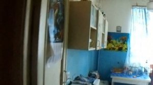 Пророк Санбой рассуждает о Таиланде в холодной квартире, пока Леночка спит #пророксанбой #санбой