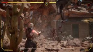 Mortal Kombat 11 не понимаю зачем сдаваться. Нужно сражаться до конца