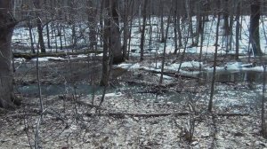 СЕРЕБРО НА ОТКРЫТИЕ СЕЗОНА. КОП 2021.ПРИМОРСКИЙ КРАЙ