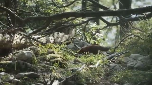 Musica para dormir Musica para estudar Musica para relaxar Musica para meditar